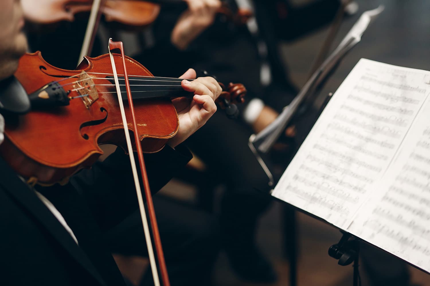 Violin player performing live music